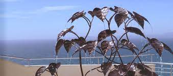 Tree Fountains