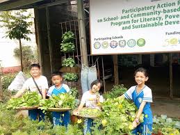School Plus Home Gardens Project To
