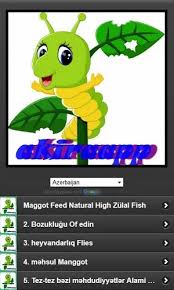 Savesave budidaya maggot for later. Maggot Cultivation Latest Version For Android Download Apk