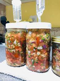 fermented salsa recipe