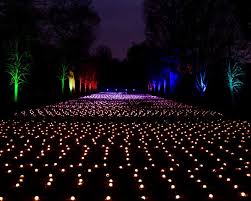 lightscape lights up brooklyn botanic