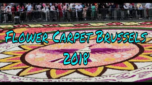 flower carpet 2018 brussels belgium