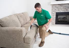 professional upholstery cleaning in