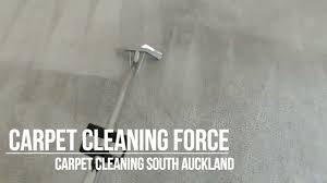 carpet cleaner south auckland