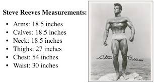 Ideal Measurements For A Bodybuilding Physique Lee