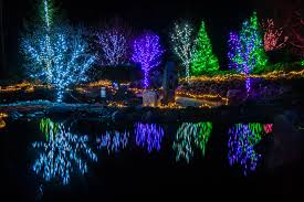 this lighted maine winter garden walk