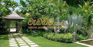 Landscaping Supliers And Services In