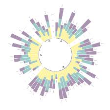 Circular Barplot From Data To Viz