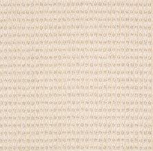 browse carpeting catalog the floor