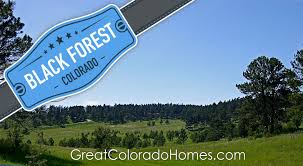 With real estate listings and houses for sale across the us and canada, our goal is to make it easy to find your next new home. Black Forest Homes For Sale Local Real Estate Black Forest Forest House Forest