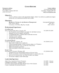 Sample Of Resume Objective     Okurgezer co Good Resume Objective For A Highschool Student And Make A Formal Format  Word    Resume Objective    