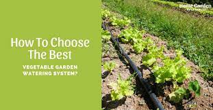 Best Vegetable Garden Watering System