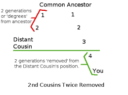 Cousin Relation Explanation Fhqs