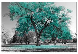Trees Landscapes Canvas Prints