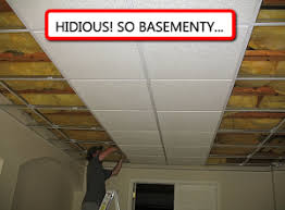 drop ceilings or drywall ceilings the