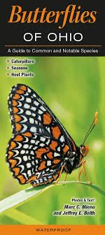 Butterflies Of Ohio A Guide To Common And Notable Species