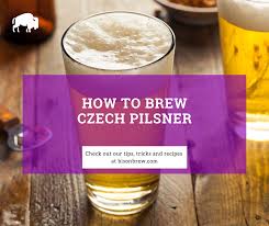 how to brew czech pilsner to make the