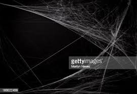 spider web images
