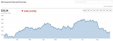 Bhp Asx News Why The Bhp Share Price Fell 15 In August