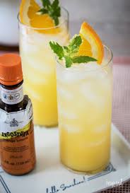 citrus ginger spritzer drinkg recipe