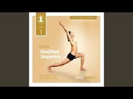 amrit yoga level 1 modified 35 minute
