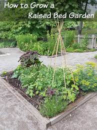 Raised Bed Garden For Your Veggies