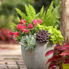 Front Porch Flower Pot Ideas Small