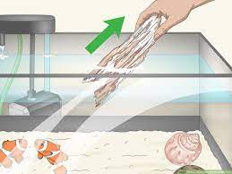 3 ways to raise the ph of a fish tank