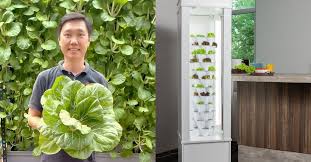 Indoor Vertical Vegetable Farming System