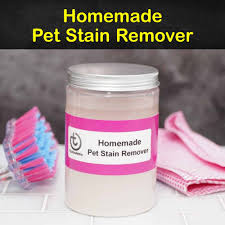 home remes for a pet stain remover