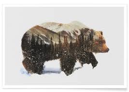 Arctic Grizzly Bear Double Exposure Poster