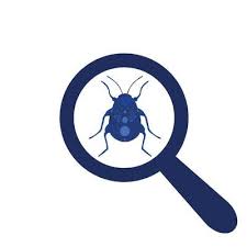 Errors Beetle Under A Magnifying Glass