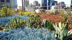 5 Inspiring Rooftop Gardens In Australia