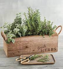 herb garden in wooden box harry david