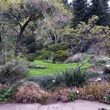regional parks botanic garden at tilden