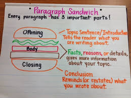 Writing An Introduction Paragraph Anchor Chart