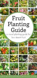 arizona fruit planting guide a visual