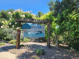 15 Top Wineries In Carmel Valley To