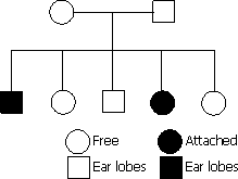Given Below Is A Pedigree Chart Of A Family With Five Childr