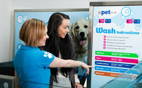 Do you ever wish you could wash your dog somewhere besides your own tub, and leave the mess? Diy Wash Diy Self Service Dog Washing Petstock