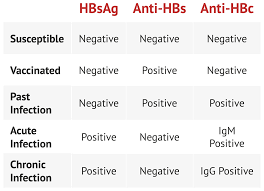 Hepatitis B Serology