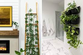 Plant Wall Shelf Ideas Plant Display