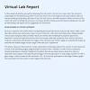 Virtual Lab Report Template