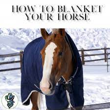 How To Blanket Your Horse Cowboy Magic