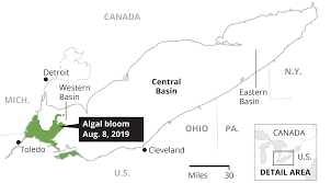 How Algae Blooms And Dead Zones Form In Lake Erie