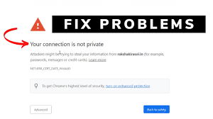fix your connection is not private