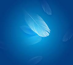 xiaomi redmi blue default feather
