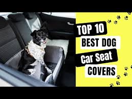 Top 10 Best Dog Car Seat Covers Review