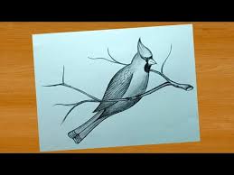 simple pencil drawing ideas bird