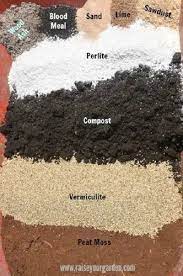 Black Powder Organic Potting Soil Mix